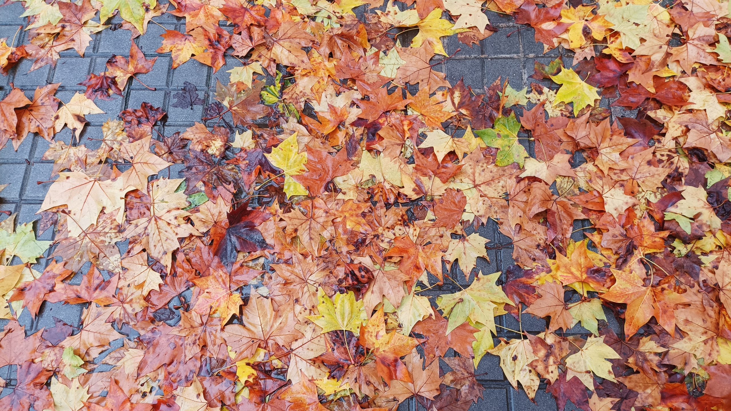 Tertulias del curso 23/24