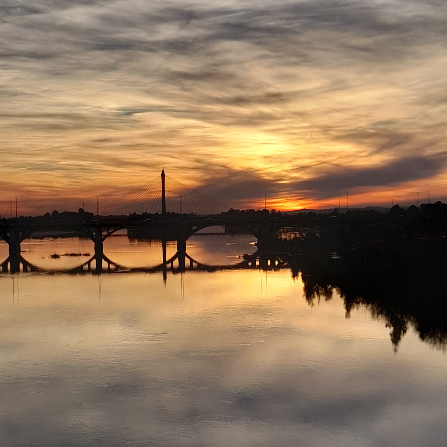 Curso literario 2025/2026