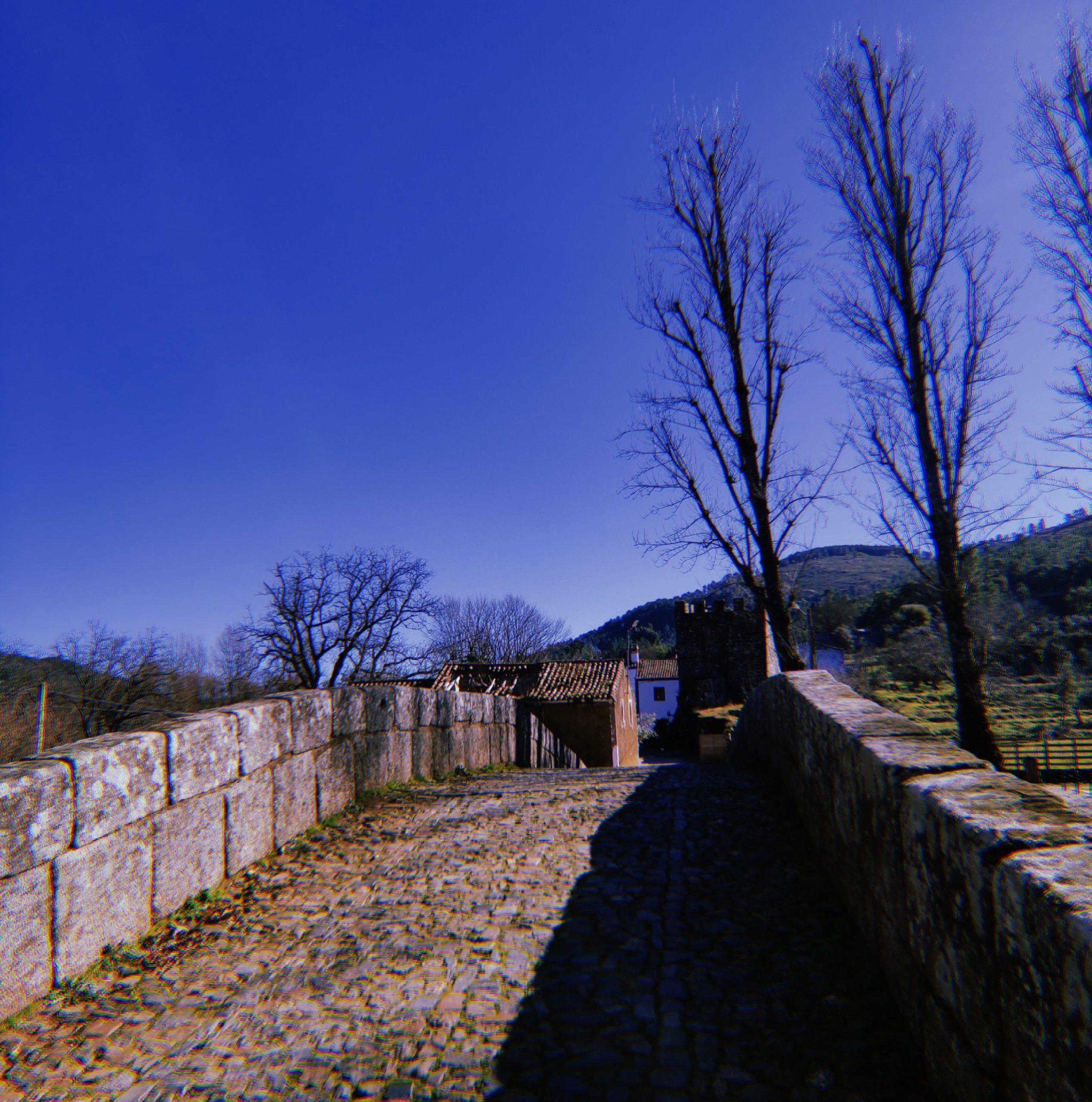 LA SORPRESA DEL CAMINO