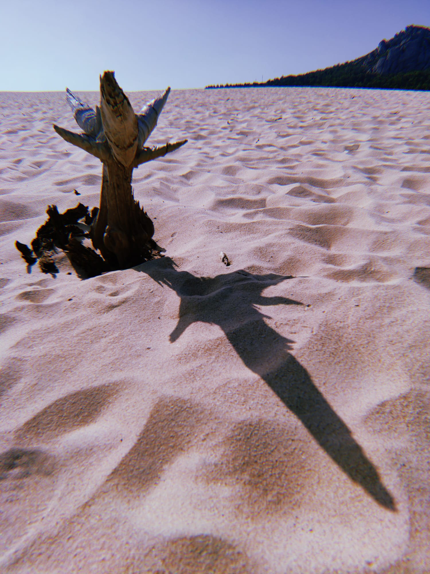 LOS MUERTOS DEL CALOR