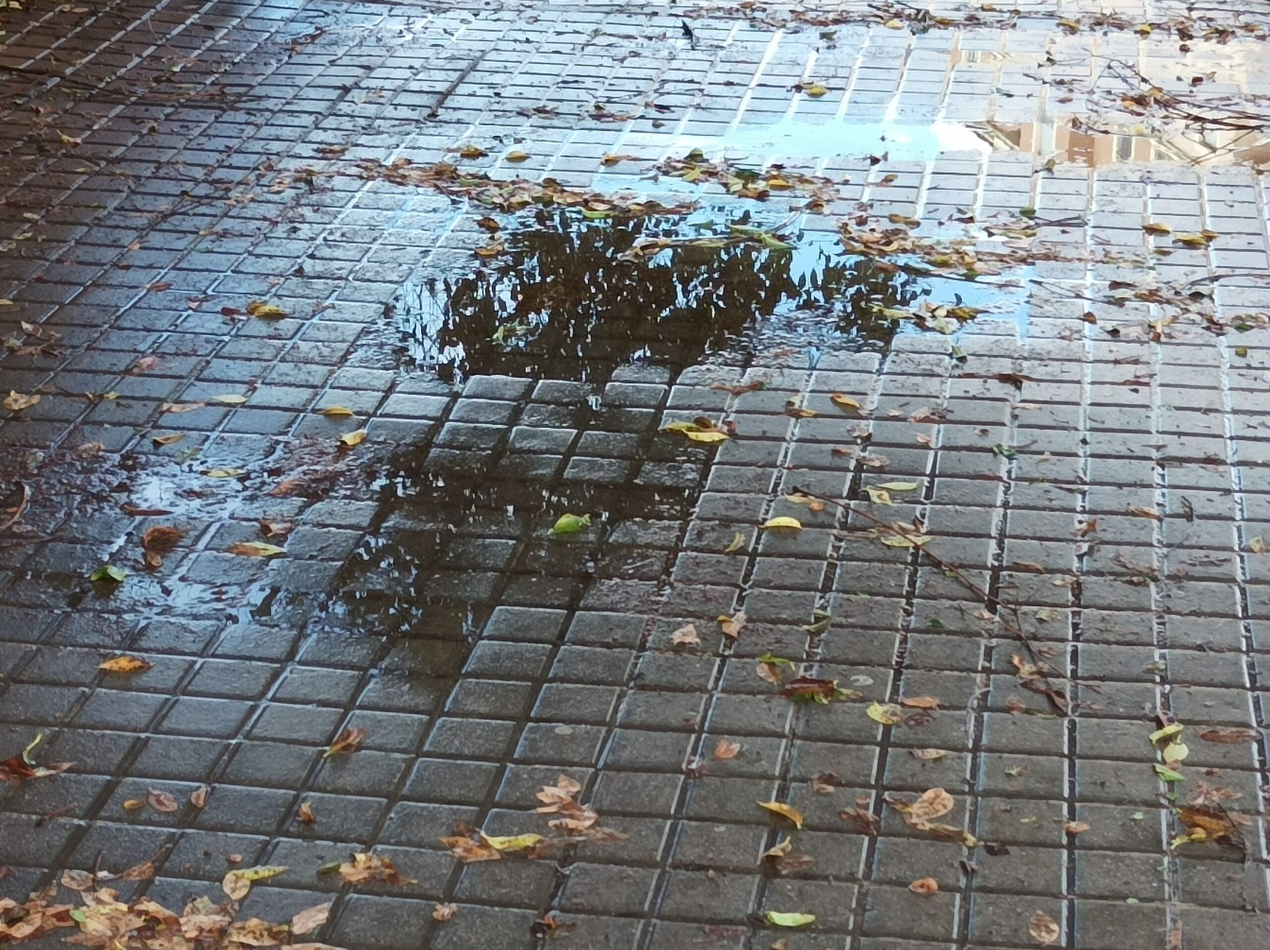 ¿Cómo saber si el poema tiene alma?