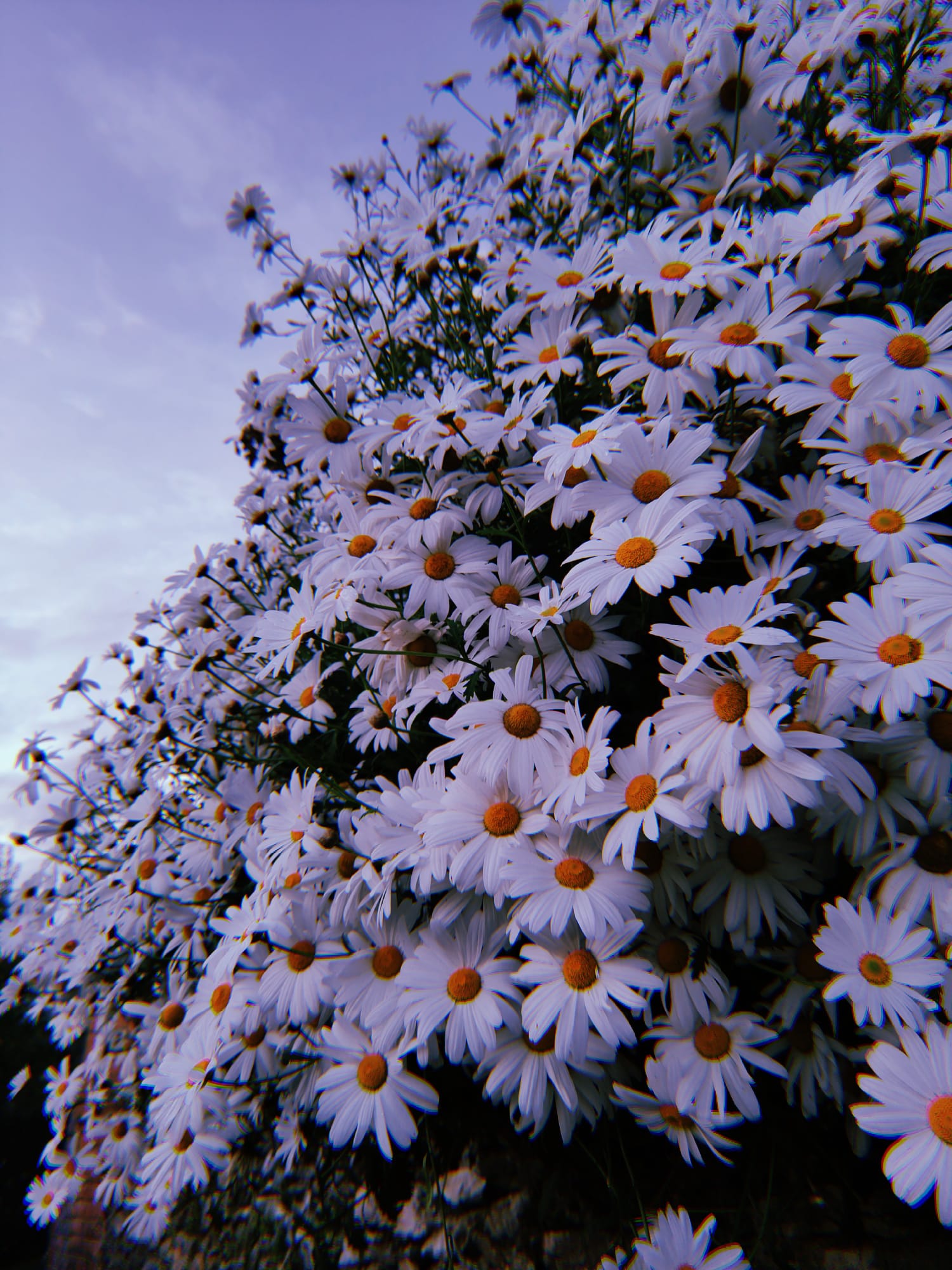 SOLILOQUIO EN BLANCO Y NEGRO