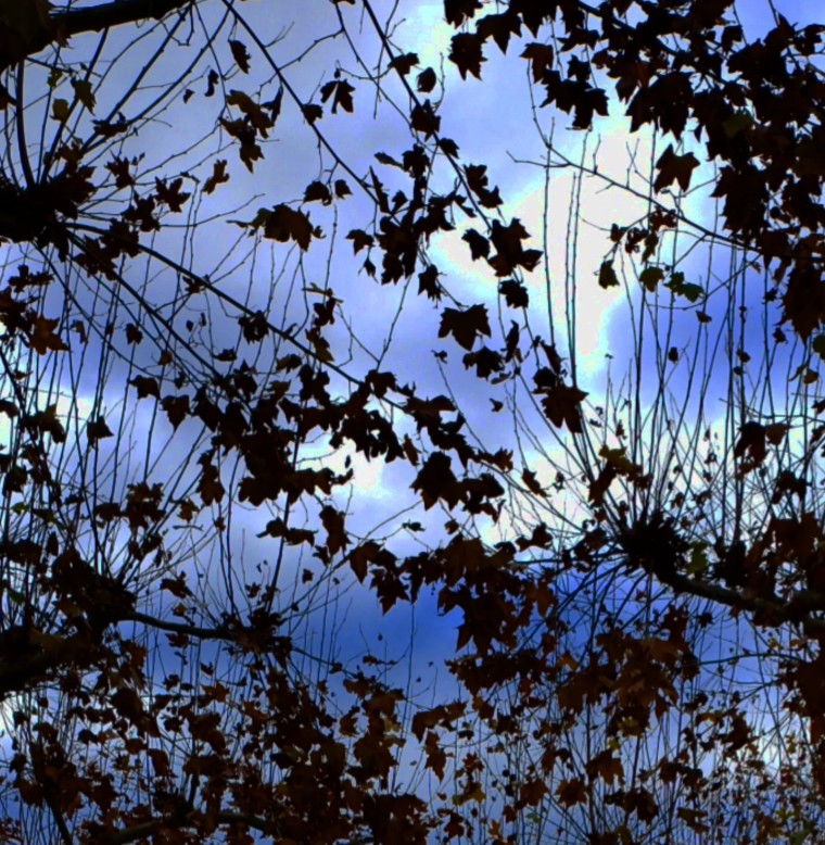 DONDE NUNCA PASA NADA