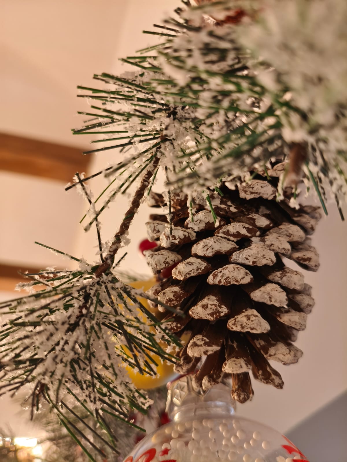 LOS CAMELLOS QUE NUNCA VI